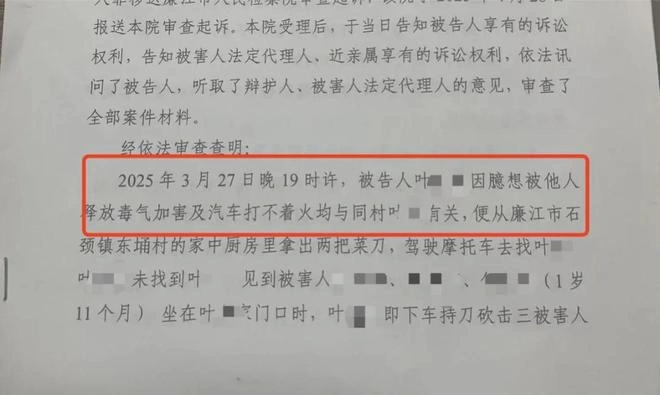 图片[1]-幼子随母返乡，同村男子行凶，凶手被诊断为精神异常-创优资源分享网