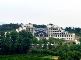 洈水镇某副镇长被指违反规定取得公务员身份，相关部门已公布调查结果通报。-创优资源分享网