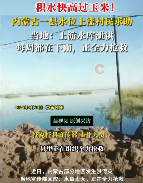 图片[2]-水位攀升至玉米顶部，内蒙古某县居民面临洪水困境，现已向外界寻求帮助。-创优资源分享网