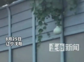 沈阳二环高架桥葫芦失窃事件中责任人公开道歉：被处以200元罚款，并记录9分违规记分。-创优资源分享网