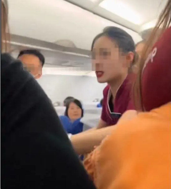 航班冲突：熊孩子顶座挨打，挨打女生被男孩妈质问，引发社会关注-同恩资源分享网