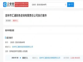 魏大勋的父亲所关联的公司近期遭遇执行，涉及金额高达233万元。在此之前，该名下公司已被冻结资产，总额达到500万元。-创优资源分享网