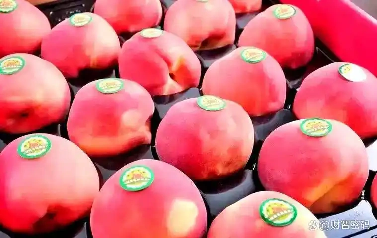 图片[2]-昔日遥不可及的进口水果，价格从300元跌至2元！现在还有谁愿意购买呢？-创优资源分享网