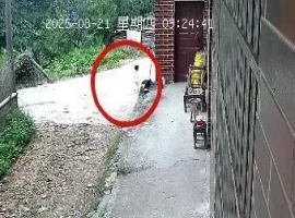 湖南省一2岁女童走失，警方在其住所附近的山区石缝中成功找到，现已安全返回家中。-创优资源分享网