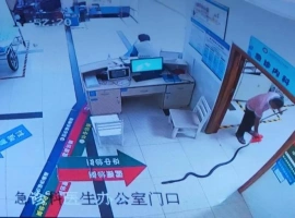 一位78岁的高龄者不幸被眼镜王蛇咬伤，家属在紧急状况下带着长达两米的蛇一同赶往医院寻求治疗。-创优资源分享网