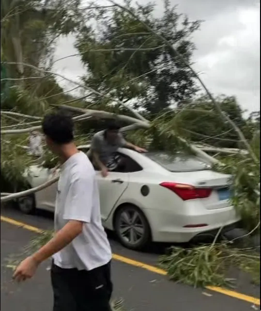 图片[2]-台风“杨柳”肆虐福建：风力发电机遭受重创，多辆汽车被坠落铁皮击中-创优资源分享网