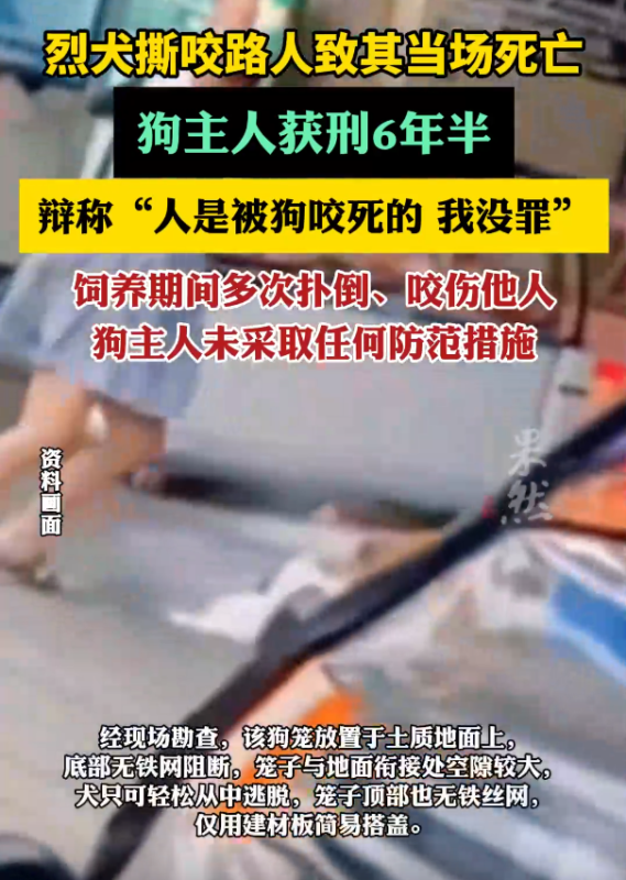屡次引发事故的恶犬导致人员伤亡，狗的主人却辩解称：“人的死亡是由于狗咬造成的，我并无罪责！”-同恩资源分享网