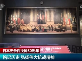 日本无条件投降80周年丨铭记历史，缅怀先烈-创优资源分享网