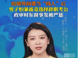担任外国间谍组织的“情报员”，离职后投身公务员考试，最终被警方逮捕。-创优资源分享网