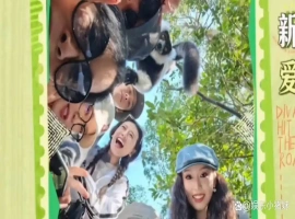 当那英遭遇猴子拉扯头发，瞬间化作趣味十足的表情包，这正是综艺节目中那份真实感的体现。-创优资源分享网