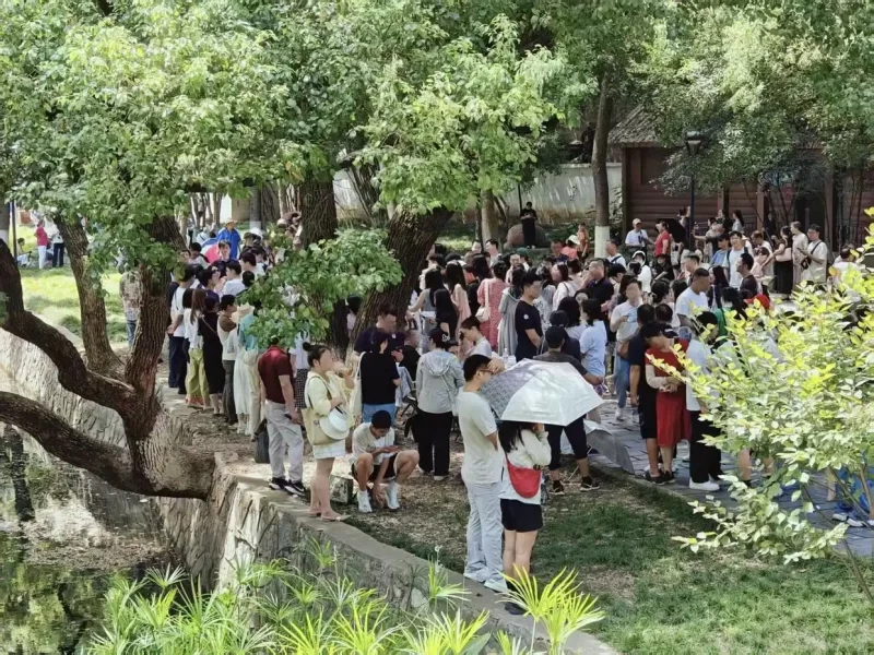 图片[2]-众多年轻人士集体前往公园“勇敢尝试”相亲活动-创优资源分享网