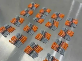 海关查获女子携带含减肥针剂的紧身裤-创优资源分享网