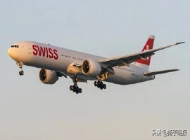 在瑞士的一次航班上，一名印度籍男子涉嫌对一名15岁的女孩进行了性侵犯。-创优资源分享网