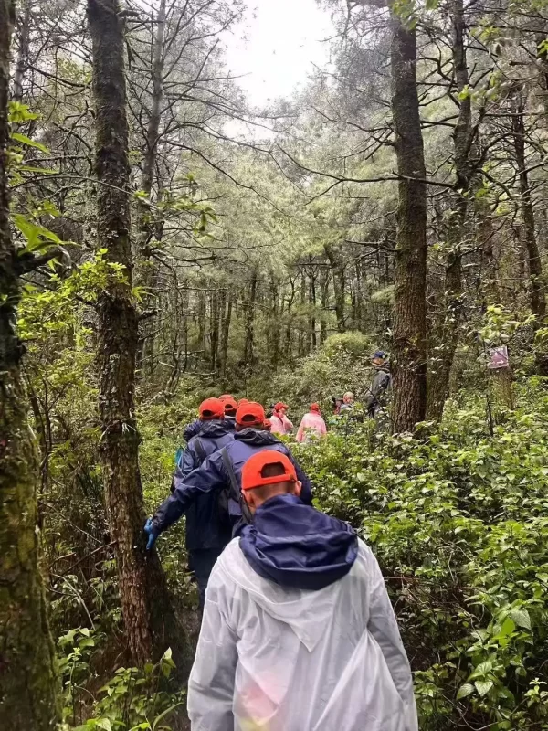 图片[3]-自闭症儿童不幸遇难  去世时衣服脱光疑似体温过低-创优资源分享网