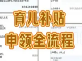 自8月26日至27日，育儿补贴的申请系统正式投入运营。-创优资源分享网