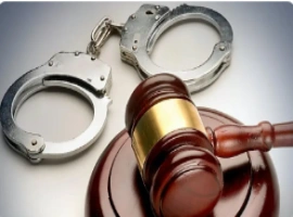 演员李某因犯有诈骗罪行，被判处260万元人民币的罚款，并服刑11年有期徒刑。-同恩资源分享网