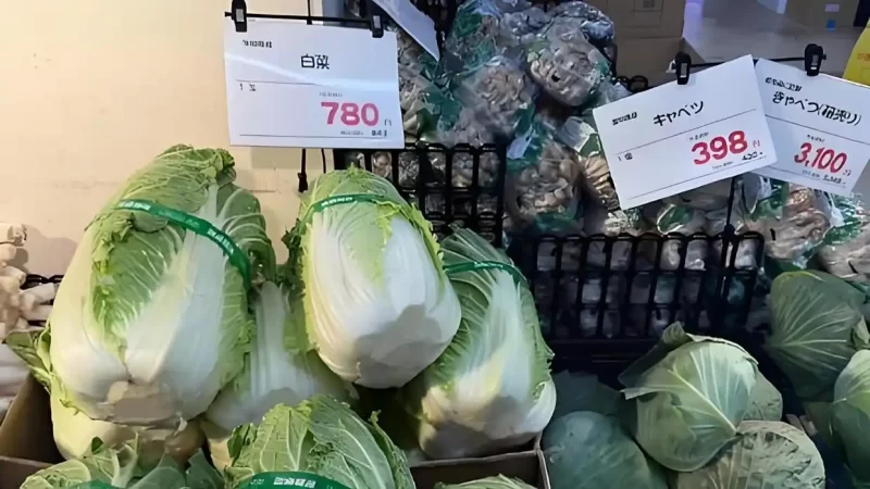 图片[1]-中国原本运往美国的蔬菜出口产品，现已转向销往日本市场。-创优资源分享网