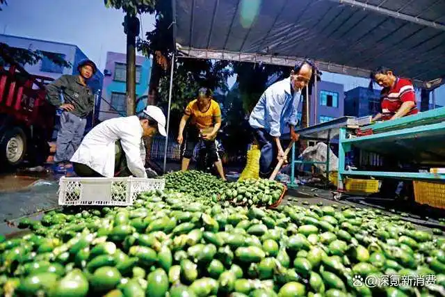 图片[4]-烟草行业的利润超过了烟草本身，行业巨头占据主导地位：这种与砒霜相提并论的致癌物质，却让一亿中国人沉迷其中。-创优资源分享网