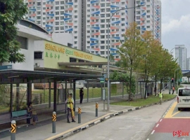 新加坡三名小学生因欺凌同学遭到停课处理  教育部门透露：涉事学生之一已接受鞭刑惩罚-创优资源分享网