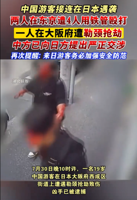 近期，我国游客在大阪遭遇袭击事件。我国驻日本大使馆已就此向日本方面提出严肃交涉。-春天资源分享网