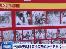 深度解析：61幅珍贵历史照片，全面展现抗日战争的历程-创优资源分享网