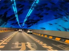 厦门市交警部门通过其官方微博发布声明，明确指出近期网络上广泛传播的关于翔安隧道发生海水倒灌的传言完全是不实信息。-创优资源分享网